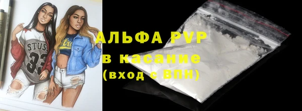 a pvp Бородино